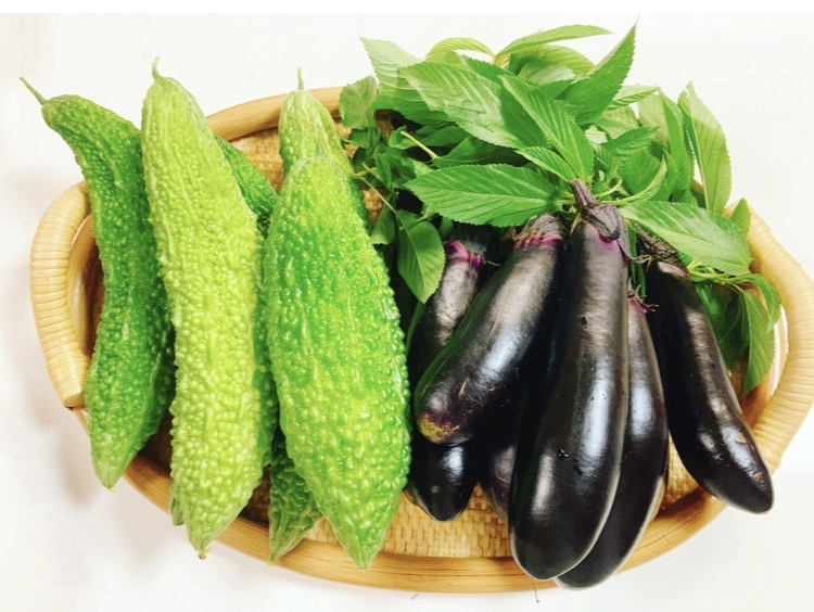 夏野菜🍅🍆🥒🫑🌽🥬🥕
